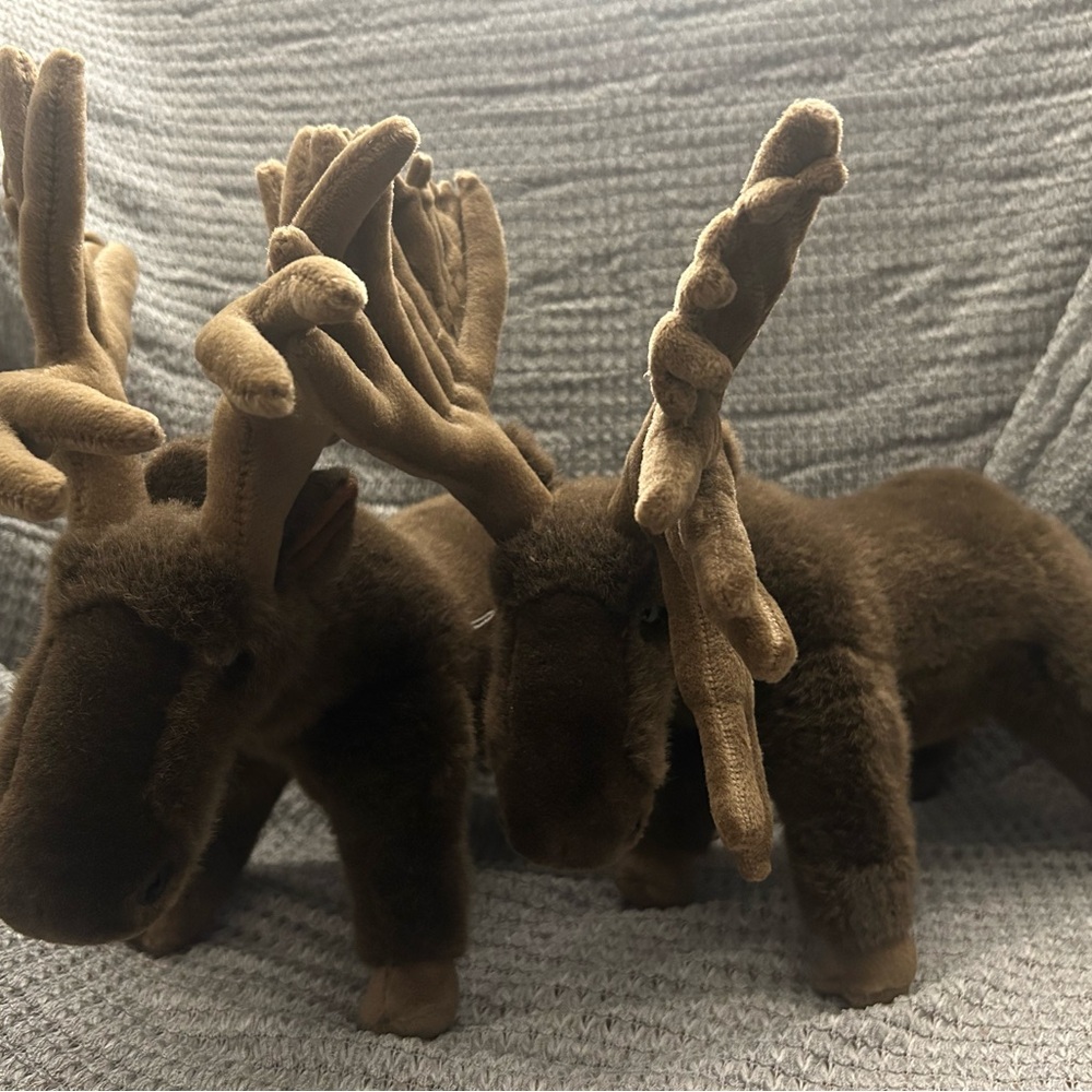 Pair of Brown Plush Moose Alaska Friends